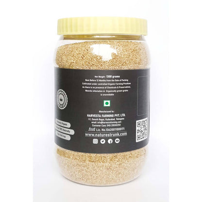 https://cdn.shopify.com/s/files/1/1857/6931/products/Us5UnTFR2e.jpg?v=1630031508