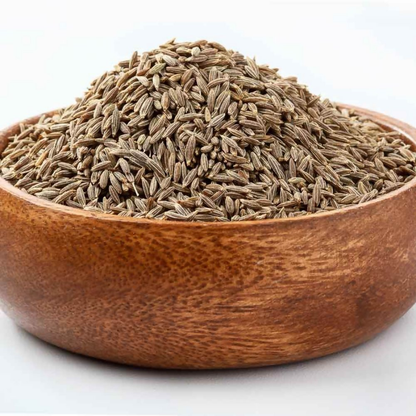 https://cdn.shopify.com/s/files/1/1857/6931/files/UsdktzxrPV.png?v=1775640341
