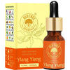 https://cdn.shopify.com/s/files/1/1857/6931/products/Ux7nrlfizH.jpg?v=1762383547