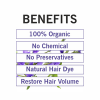 https://cdn.shopify.com/s/files/1/1857/6931/files/V2iPBqREOJ.png?v=1732713473