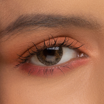 https://cdn.shopify.com/s/files/1/1857/6931/files/V8aoAPXPUh.png?v=1744895652