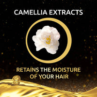 https://cdn.shopify.com/s/files/1/1857/6931/products/V9Gn19MVxk.jpg?v=1646390635