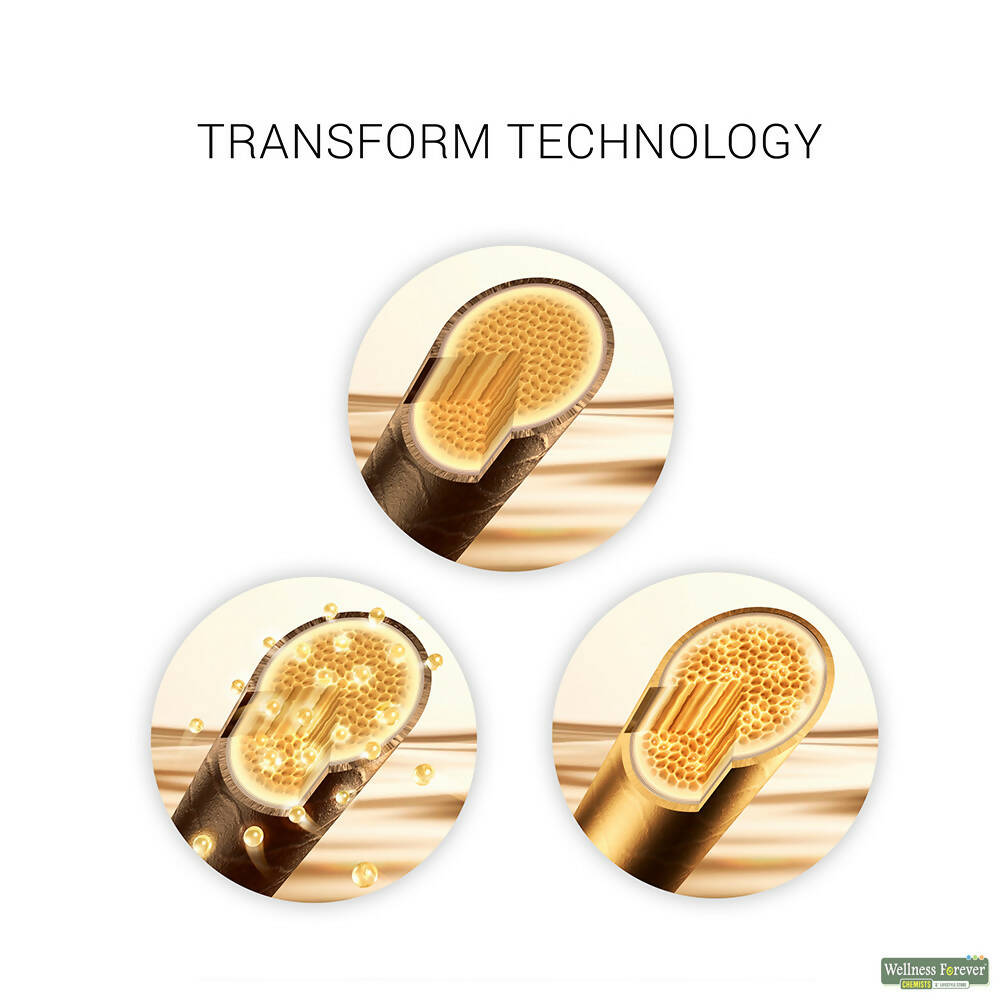 https://cdn.shopify.com/s/files/1/1857/6931/products/VB9NnA4WxH.jpg?v=1666873637