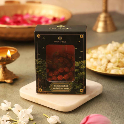 https://cdn.shopify.com/s/files/1/1857/6931/files/VBPpjWl4dG.jpg?v=1779344742