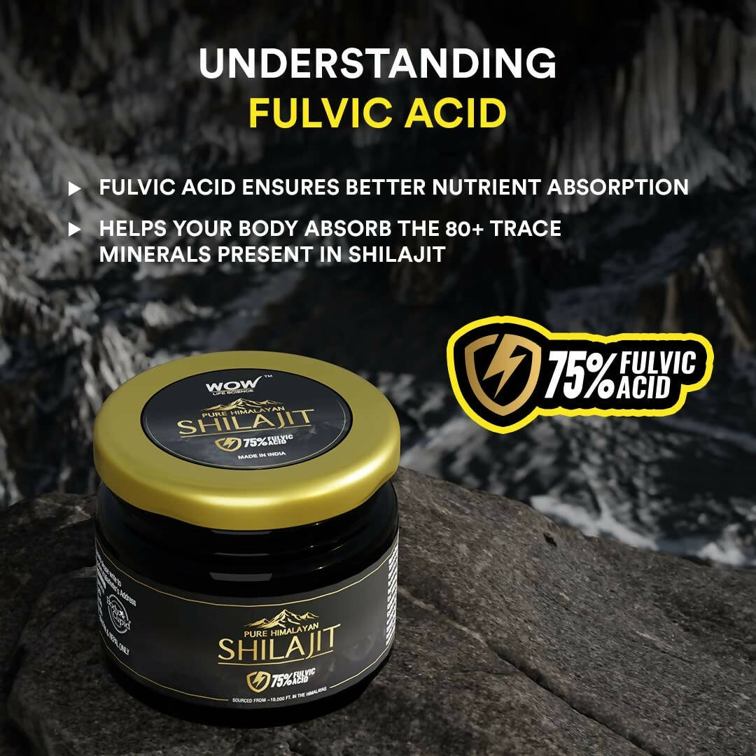 https://cdn.shopify.com/s/files/1/1857/6931/products/VGoN0RJqbK.jpg?v=1682771063