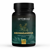https://cdn.shopify.com/s/files/1/1857/6931/files/VJfQjdLRih.png?v=1742447735