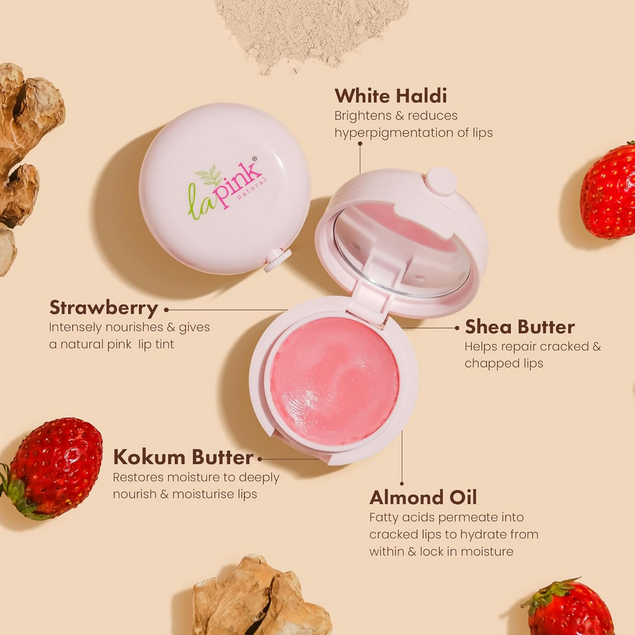 https://cdn.shopify.com/s/files/1/1857/6931/files/VM9UZVkL09.png?v=1729504087