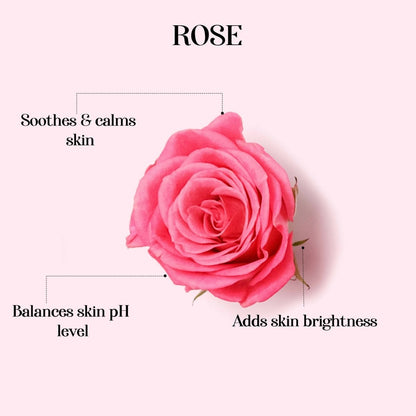 https://cdn.shopify.com/s/files/1/1857/6931/files/VOuOlSFw6W-498854.jpg?v=1736146743