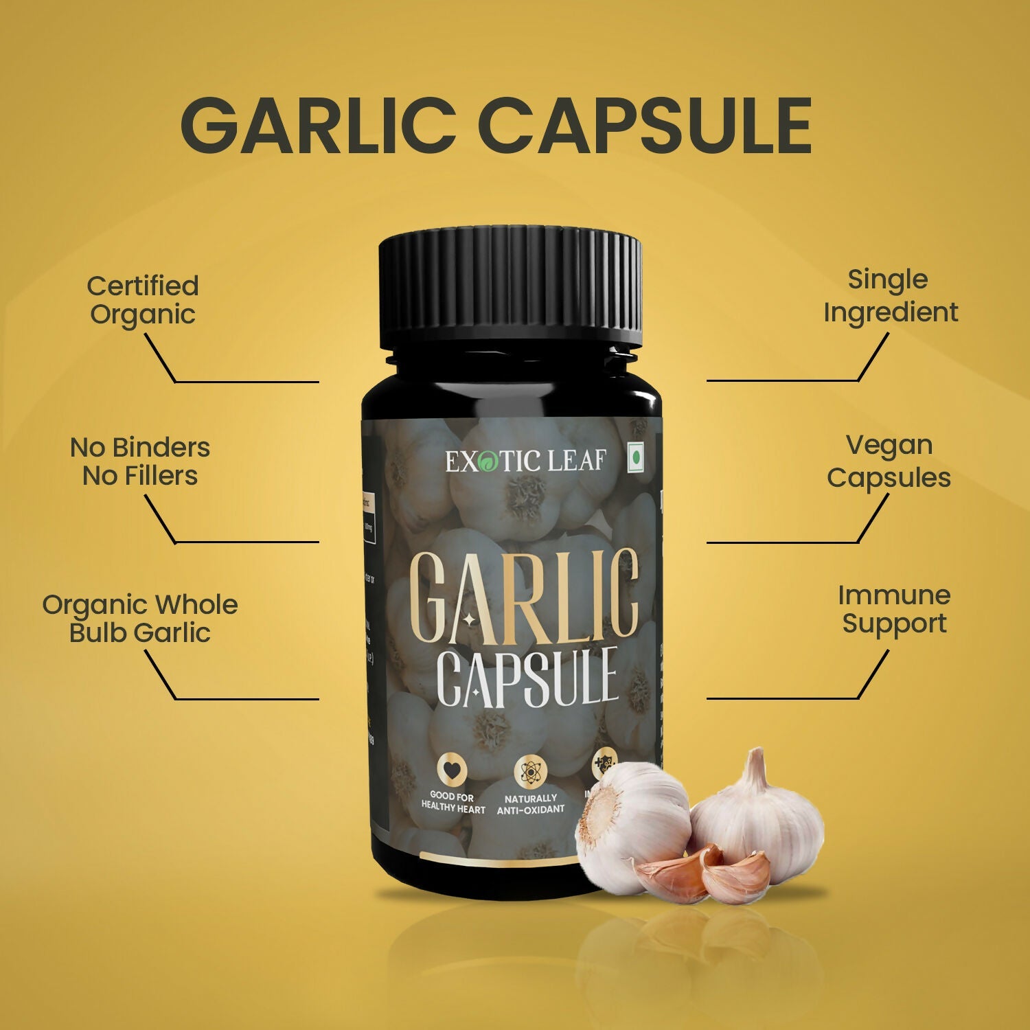 https://cdn.shopify.com/s/files/1/1857/6931/files/VOwYdYF7Zf.jpg?v=1725084799