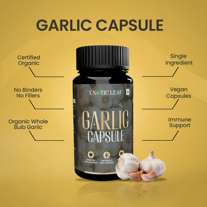 https://cdn.shopify.com/s/files/1/1857/6931/files/VOwYdYF7Zf.jpg?v=1725084799
