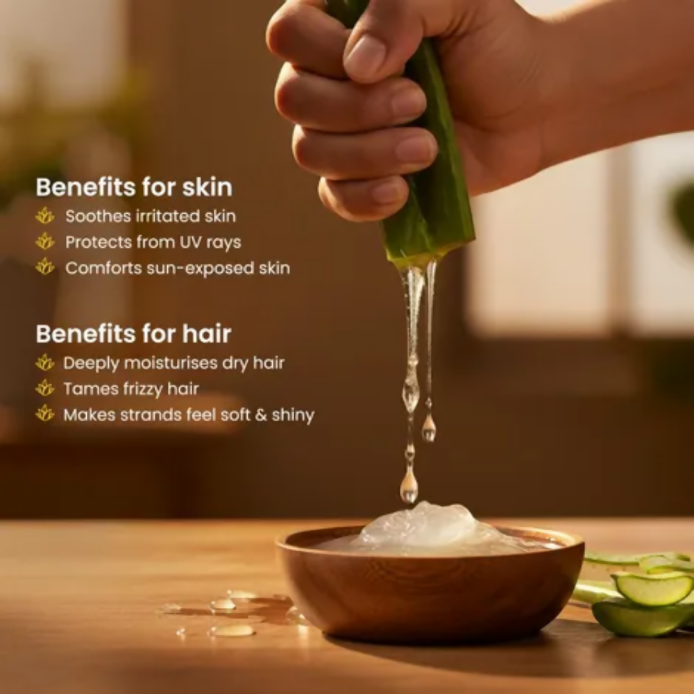https://cdn.shopify.com/s/files/1/1857/6931/files/VPhc3drT3K.png?v=1769669484