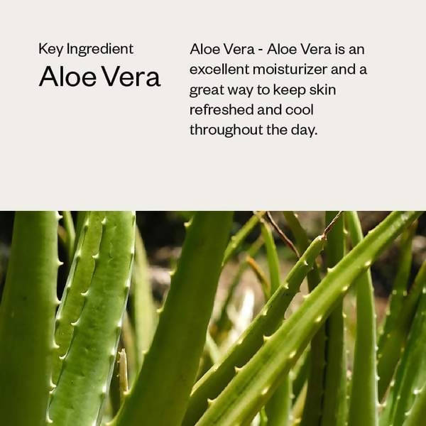 https://cdn.shopify.com/s/files/1/1857/6931/products/VQa9pW8RE7.jpg?v=1631363674