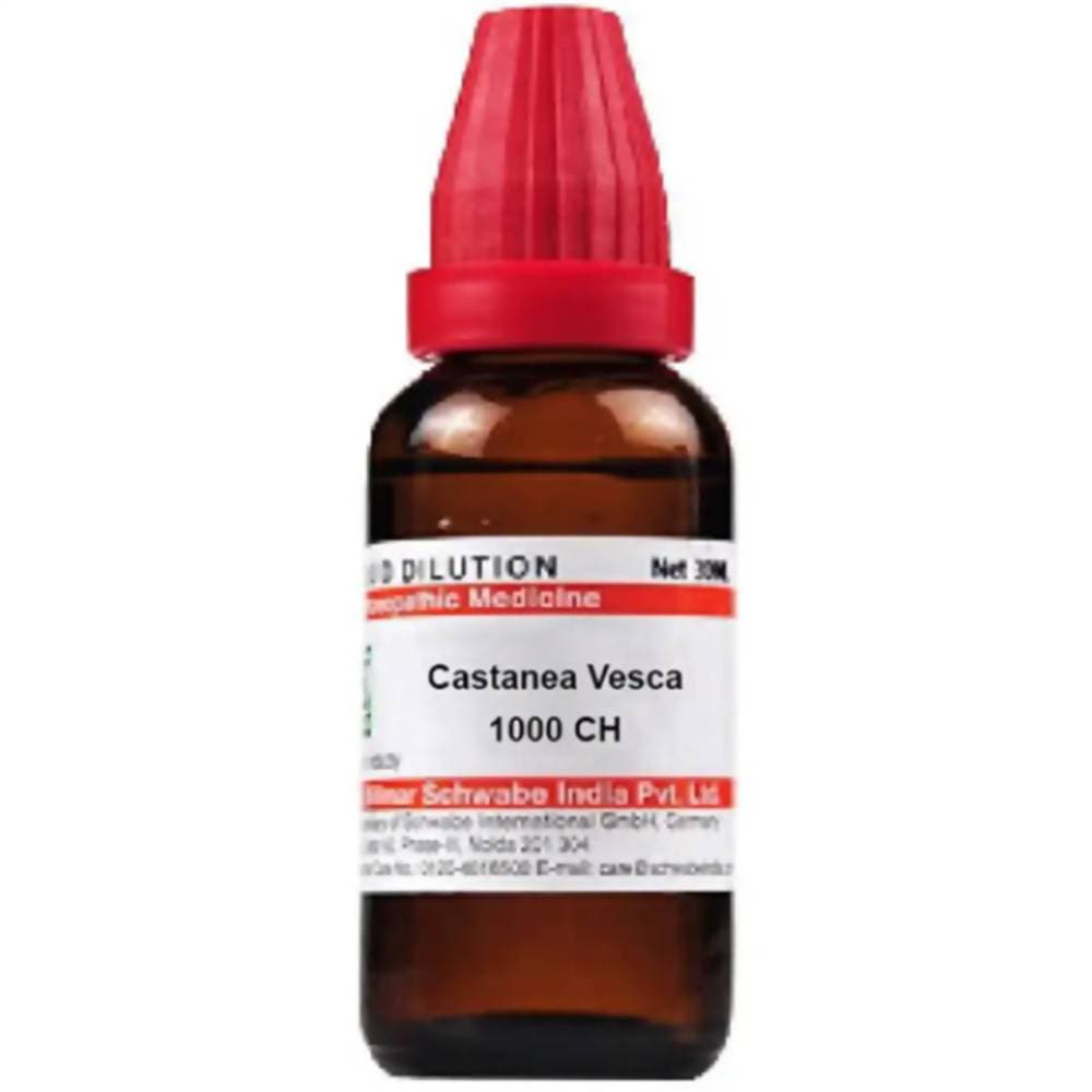 https://cdn.shopify.com/s/files/1/1857/6931/products/VQt6CEO9nF.jpg?v=1613912194