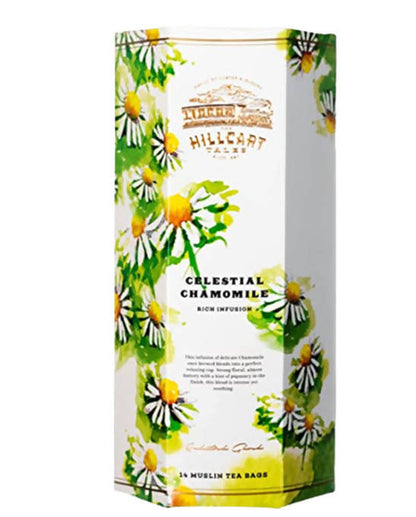 https://cdn.shopify.com/s/files/1/1857/6931/products/VSbkGhefK5.jpg?v=1654157637