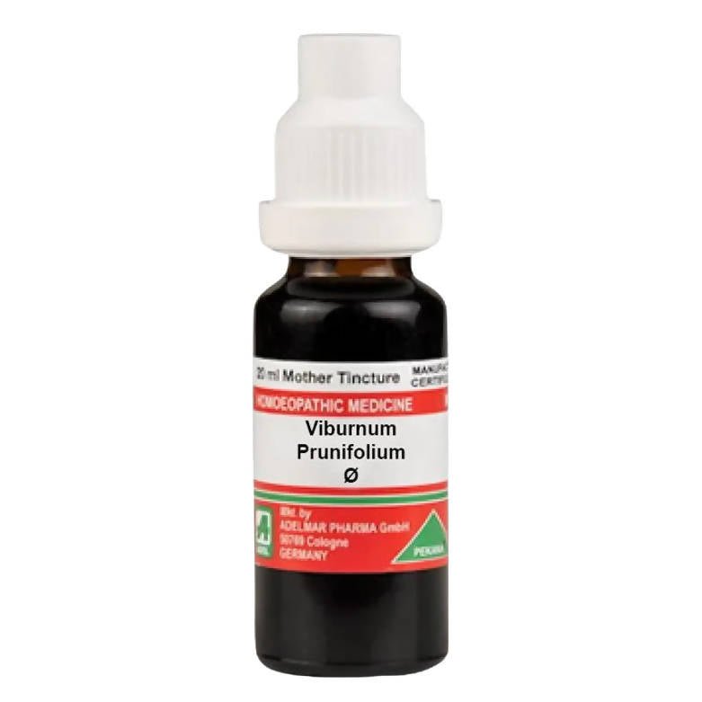 https://cdn.shopify.com/s/files/1/1857/6931/files/VURxTVTpIv-496841.jpg?v=1759313276