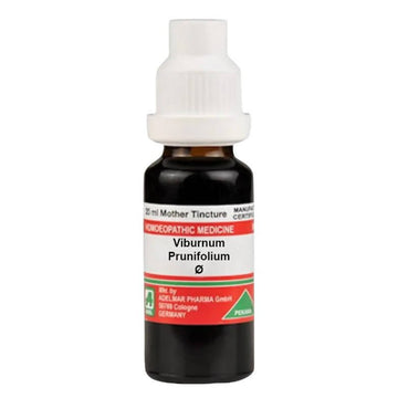 https://cdn.shopify.com/s/files/1/1857/6931/files/VURxTVTpIv-496841.jpg?v=1759313276