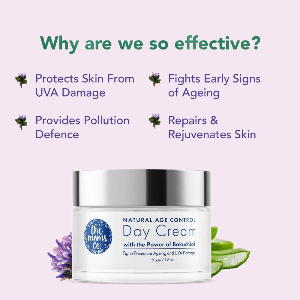 https://cdn.shopify.com/s/files/1/1857/6931/products/VUredRs6PT.jpg?v=1663840761