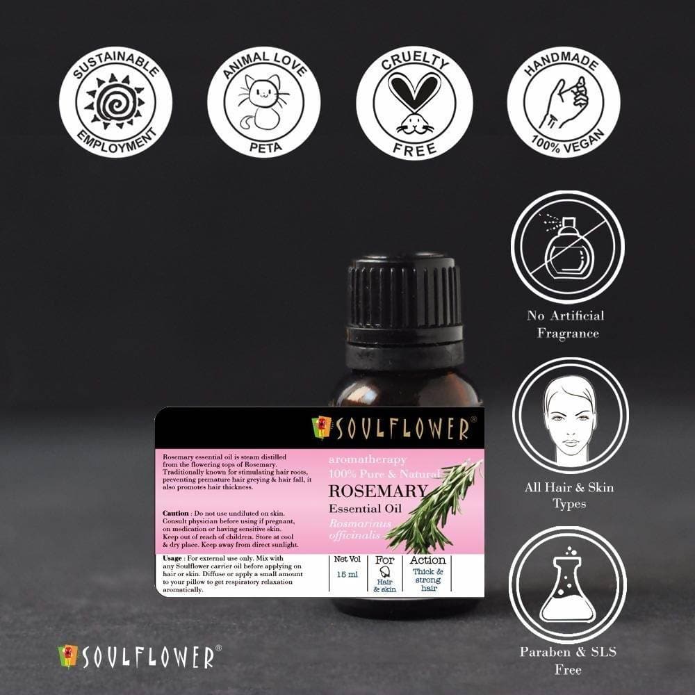 https://cdn.shopify.com/s/files/1/1857/6931/products/VWslJJU0R4.jpg?v=1711690751