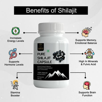 https://cdn.shopify.com/s/files/1/1857/6931/files/VXXzLuMW22-203897.jpg?v=1736140069