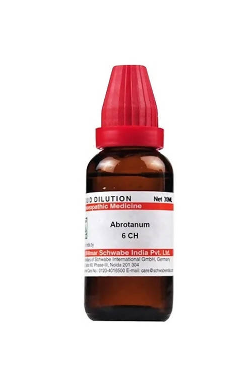 https://cdn.shopify.com/s/files/1/1857/6931/products/VXhqHCxpP8.jpg?v=1640857886