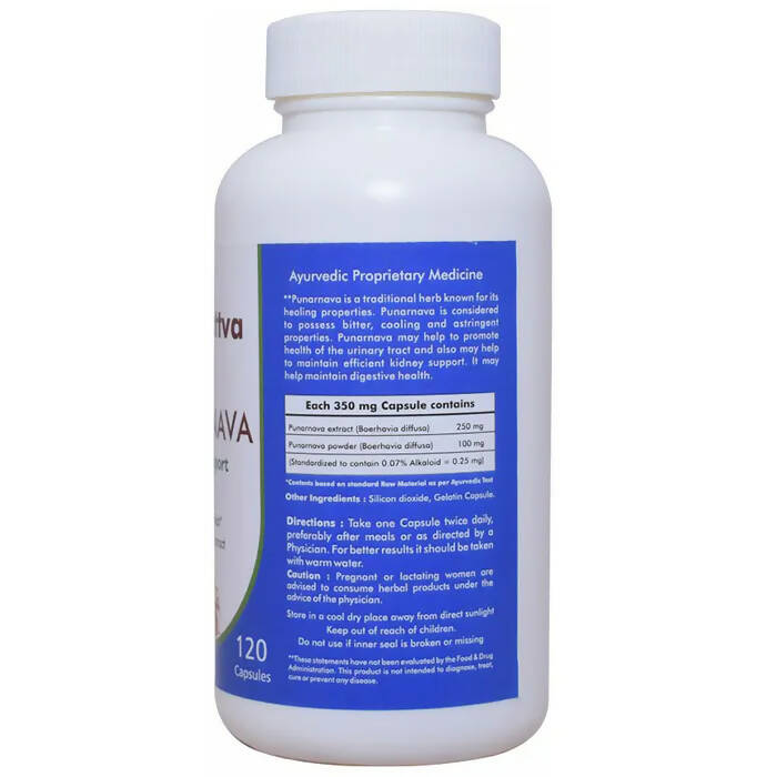 https://cdn.shopify.com/s/files/1/1857/6931/products/VXpb9iFQcF.jpg?v=1668677929
