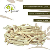 https://cdn.shopify.com/s/files/1/1857/6931/products/Vabdj1ap8N.jpg?v=1646464271