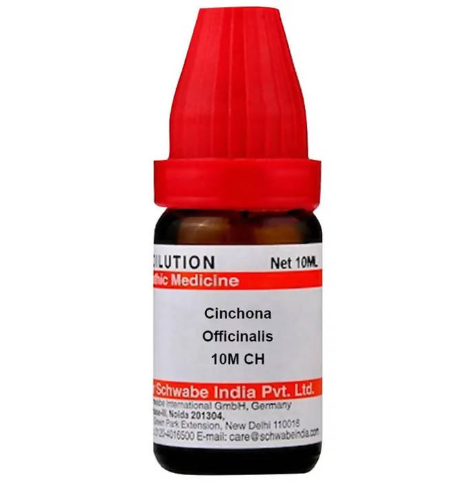 https://cdn.shopify.com/s/files/1/1857/6931/products/VanN6cLTsx.jpg?v=1655098344