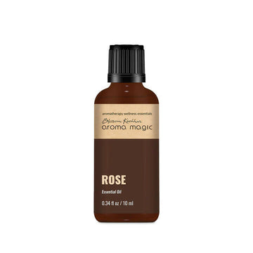 https://cdn.shopify.com/s/files/1/1857/6931/products/Vb5hQ8zPpi.jpg?v=1762372369