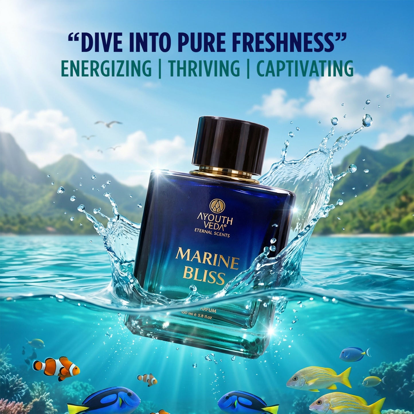 https://cdn.shopify.com/s/files/1/1857/6931/files/Vbvo5WAZjN.jpg?v=1780047451