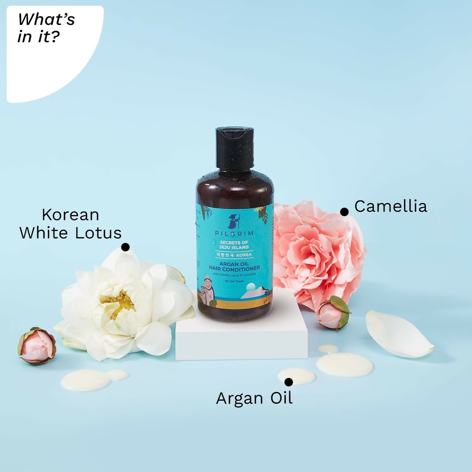 https://cdn.shopify.com/s/files/1/1857/6931/files/VcIooUcBpn.jpg?v=1716204044