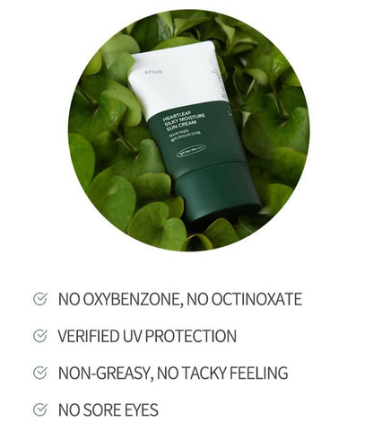 https://cdn.shopify.com/s/files/1/1857/6931/files/VcMYxWFgxf-827602.jpg?v=1736148544