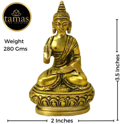 https://cdn.shopify.com/s/files/1/1857/6931/products/VcZLzAPmwQ.jpg?v=1681543041