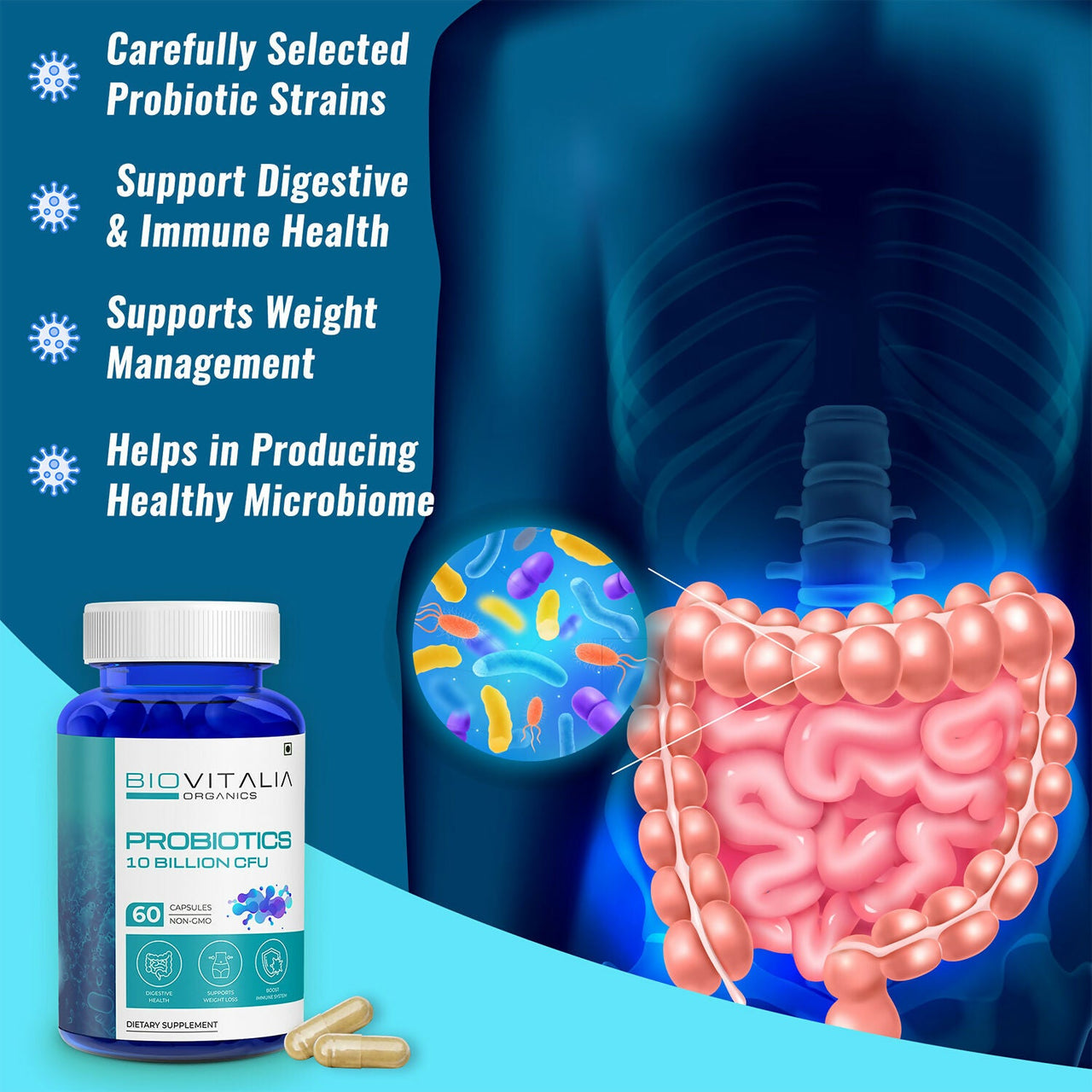 https://cdn.shopify.com/s/files/1/1857/6931/files/VfojWi1oPZ.jpg?v=1727680121