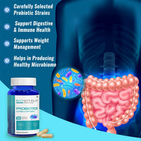 https://cdn.shopify.com/s/files/1/1857/6931/files/VfojWi1oPZ.jpg?v=1727680121