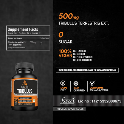 https://cdn.shopify.com/s/files/1/1857/6931/files/VgO2cBM15L.png?v=1762778508