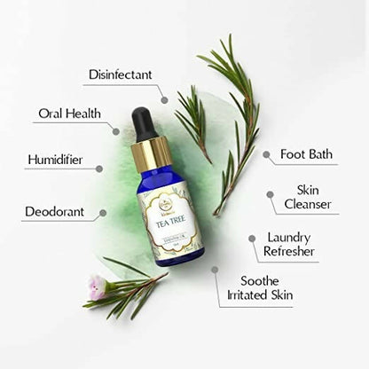 https://cdn.shopify.com/s/files/1/1857/6931/products/VgQ3LIW9GP.jpg?v=1671800615
