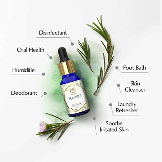 https://cdn.shopify.com/s/files/1/1857/6931/products/VgQ3LIW9GP.jpg?v=1671800615