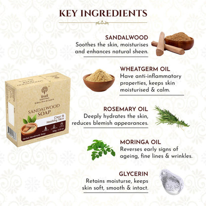 https://cdn.shopify.com/s/files/1/1857/6931/products/VhOOYTPZFH.jpg?v=1672053354