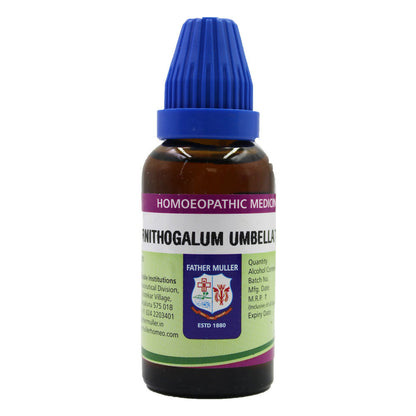 https://cdn.shopify.com/s/files/1/1857/6931/files/Vhi7xOgEqo.jpg?v=1717062885
