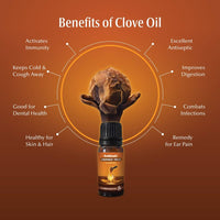 https://cdn.shopify.com/s/files/1/1857/6931/products/ViU7q7i0uD.jpg?v=1652073511