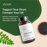https://cdn.shopify.com/s/files/1/1857/6931/files/Vital_Flow_Kerala_Ayurveda_USA.jpg?v=1773821656