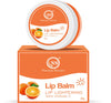 https://cdn.shopify.com/s/files/1/1857/6931/files/Vitaminc2.jpg?v=1765546027