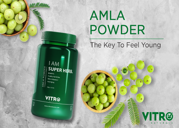https://cdn.shopify.com/s/files/1/1857/6931/products/VitroNaturalsIAmSuperHerbAmlaPowder1.png?v=1623481520