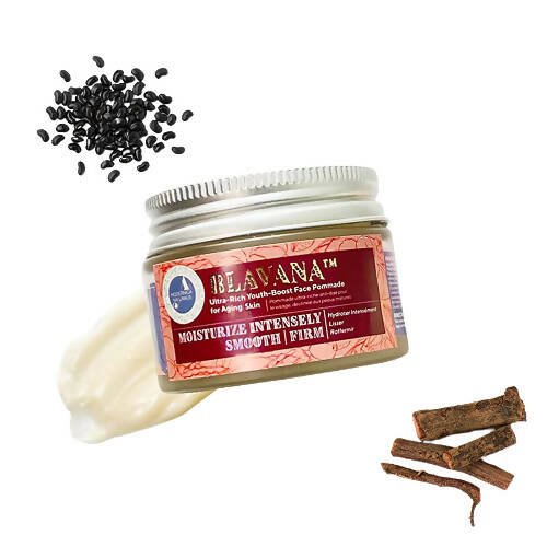 https://cdn.shopify.com/s/files/1/1857/6931/files/VjCDiVHMzA-674004.jpg?v=1736140624