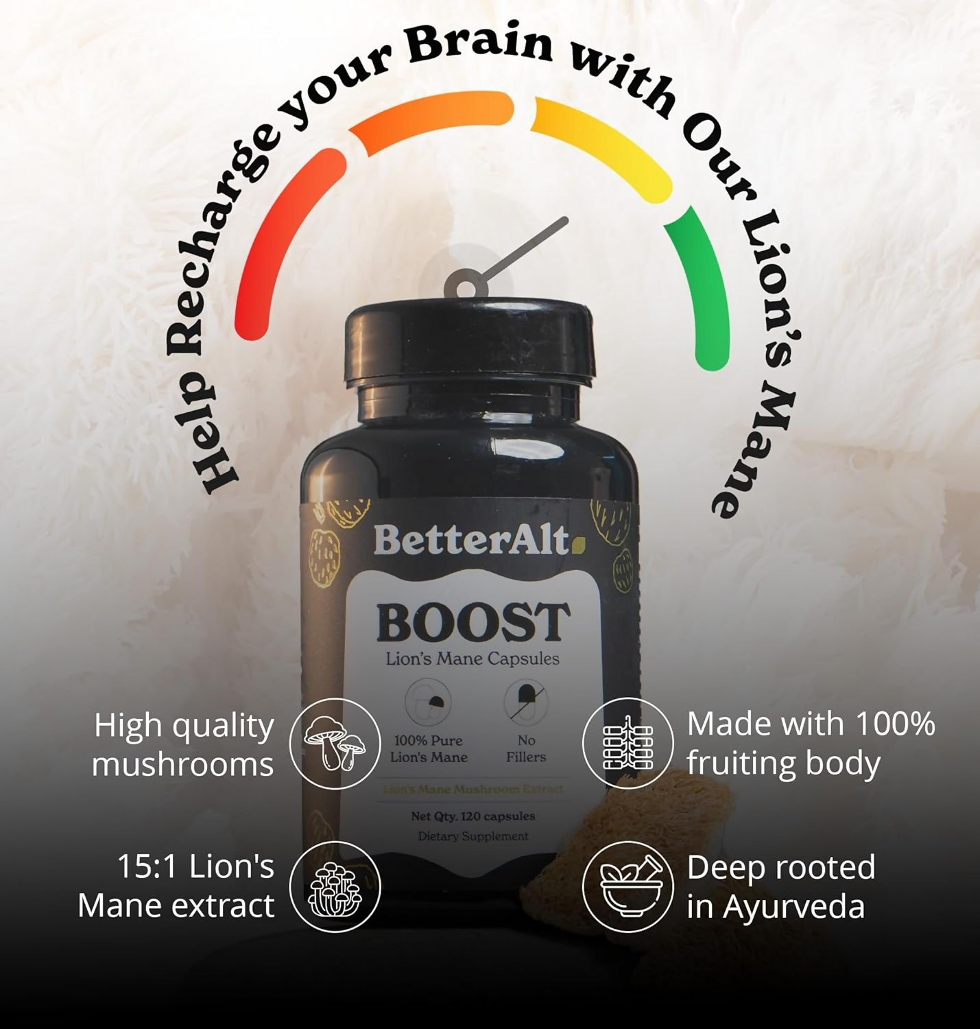 https://cdn.shopify.com/s/files/1/1857/6931/files/VmHDHpCLM9.png?v=1758192956
