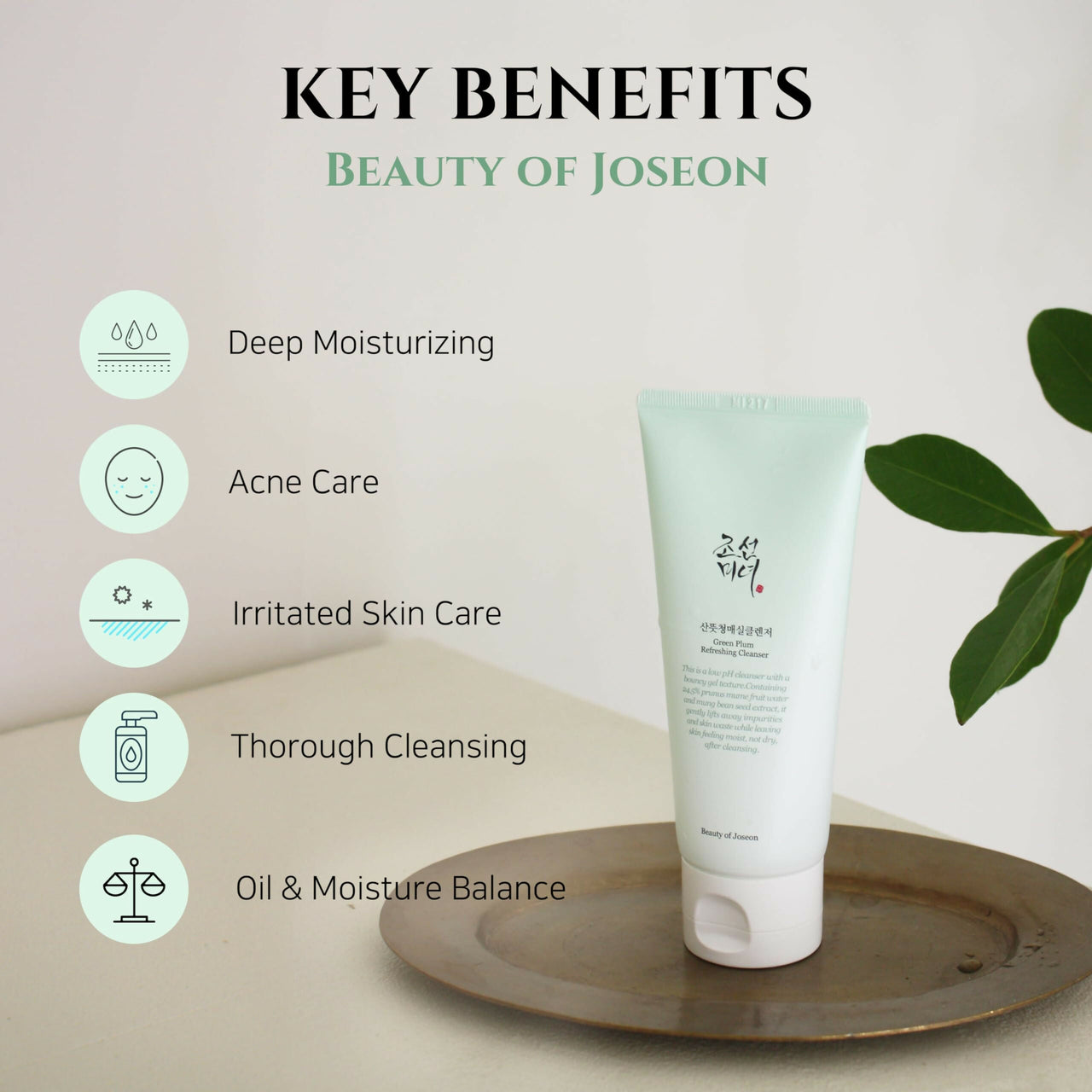 https://cdn.shopify.com/s/files/1/1857/6931/files/VmNIFAp7Wh.jpg?v=1721655476