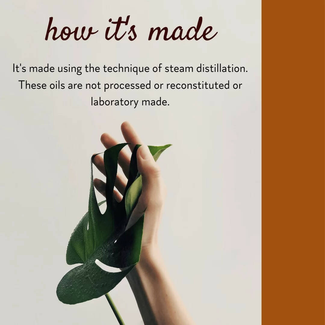 https://cdn.shopify.com/s/files/1/1857/6931/products/VndILaOkX6.jpg?v=1670582921