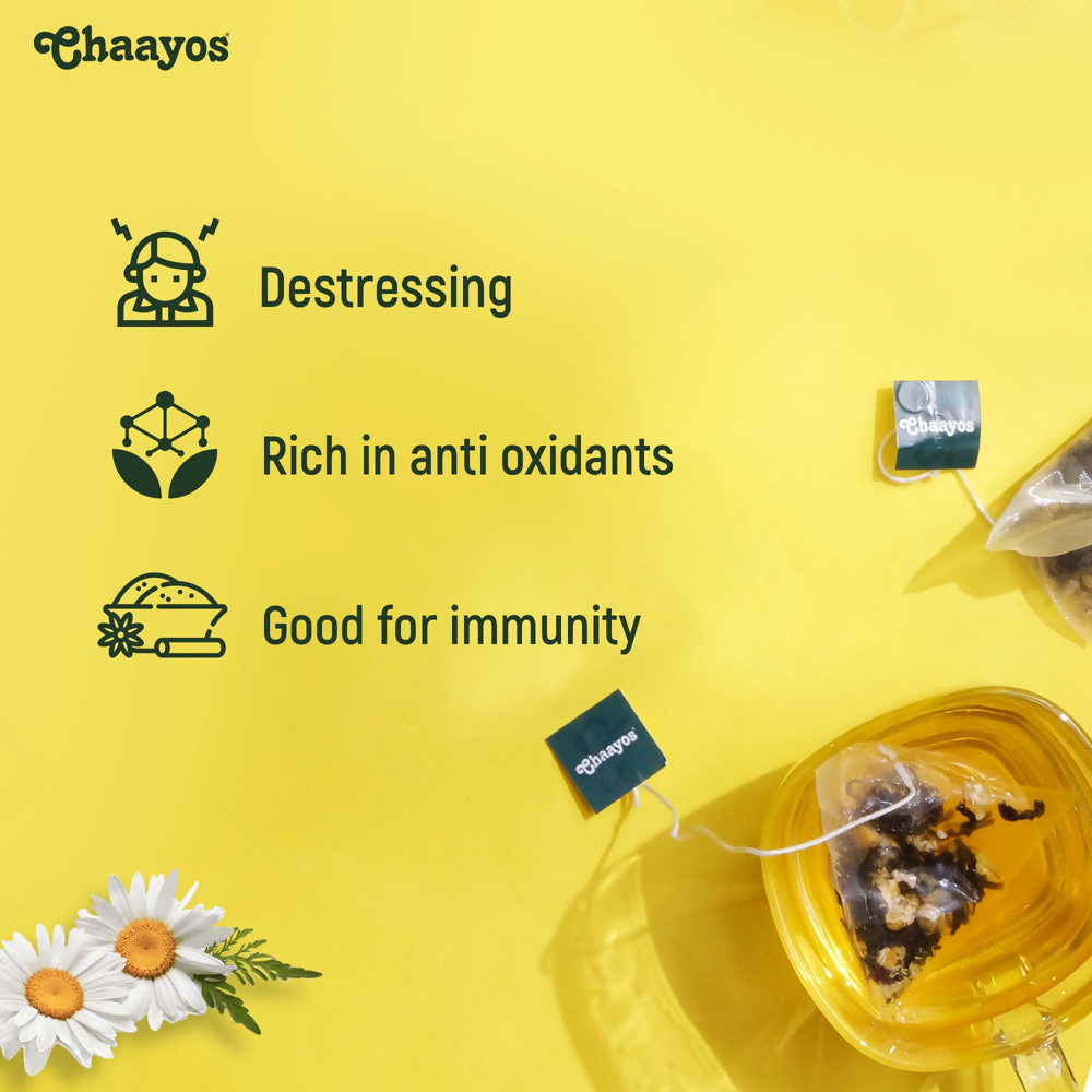 https://cdn.shopify.com/s/files/1/1857/6931/products/Vo0XEk4bTr.png?v=1698400322