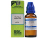https://cdn.shopify.com/s/files/1/1857/6931/products/Vo2YPHAKLd.jpg?v=1617330666