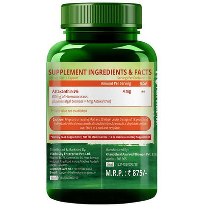 https://cdn.shopify.com/s/files/1/1857/6931/products/VvOwXyCoKQ.jpg?v=1695130179